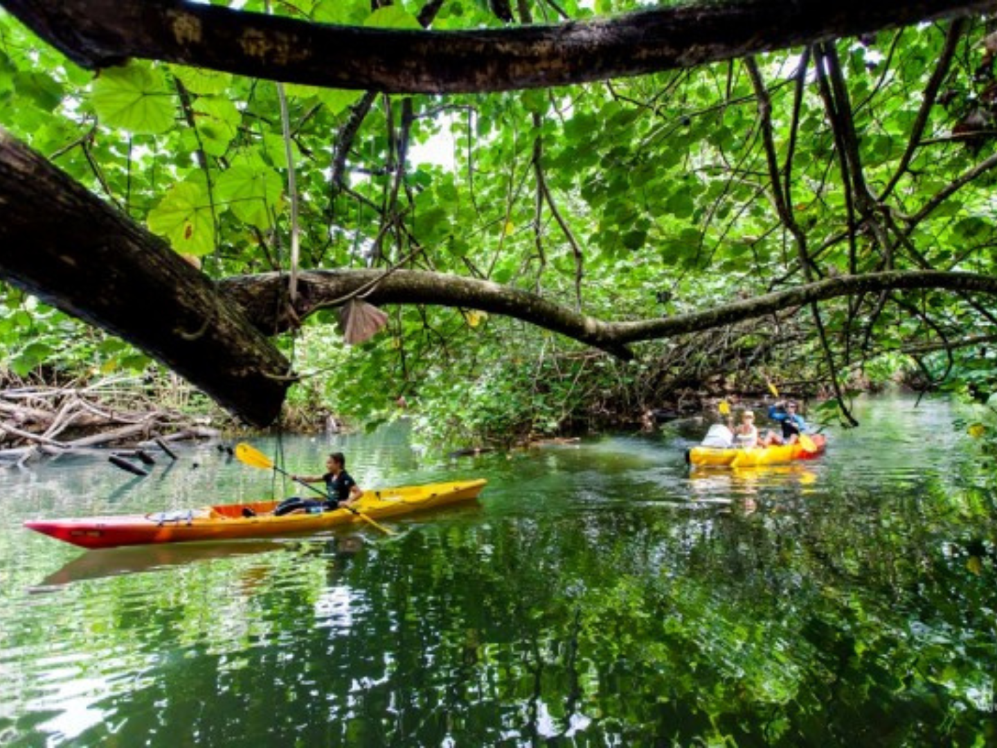 RAIATEA –Aventure en kayak sur la rivière Faaroa – 3H