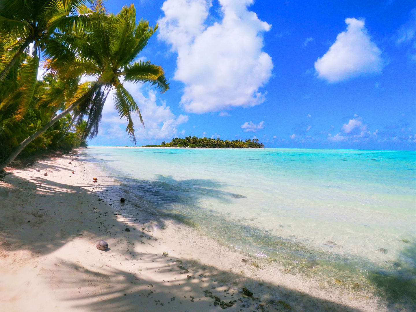 TAHITI – CATAMARAN CRUISE TO TETIAROA, MARLON BRANDO’S ATOLL – 12H