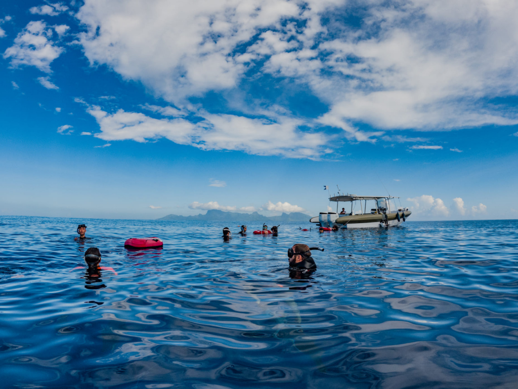 Polynesian Paradise, Exclusive Group Escape