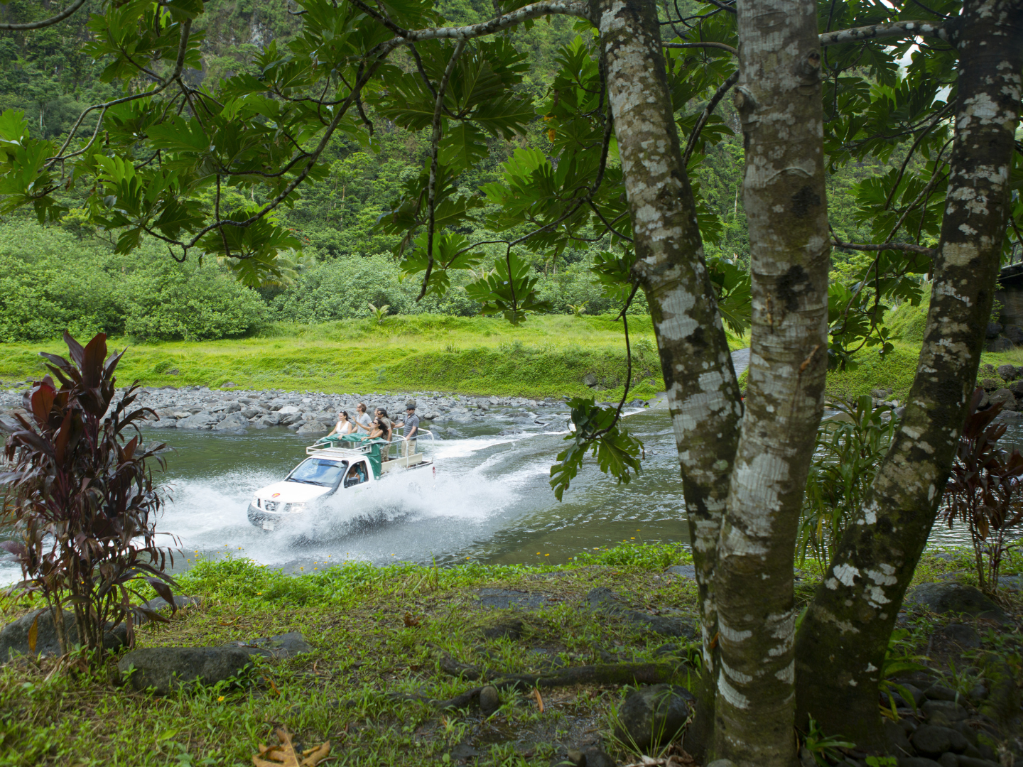 TAHITI – 4WD Safari into the Heart of Tahiti, Papenoo Valley – 8h