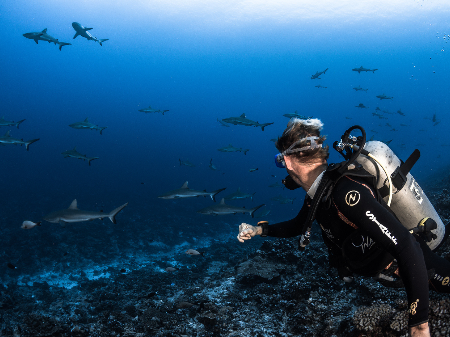 FAKARAVA – Scuba diving