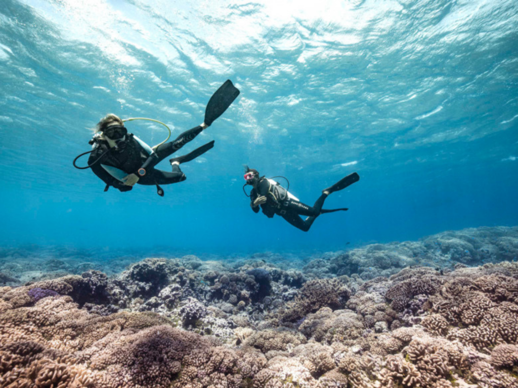 TAHITI – Scuba diving