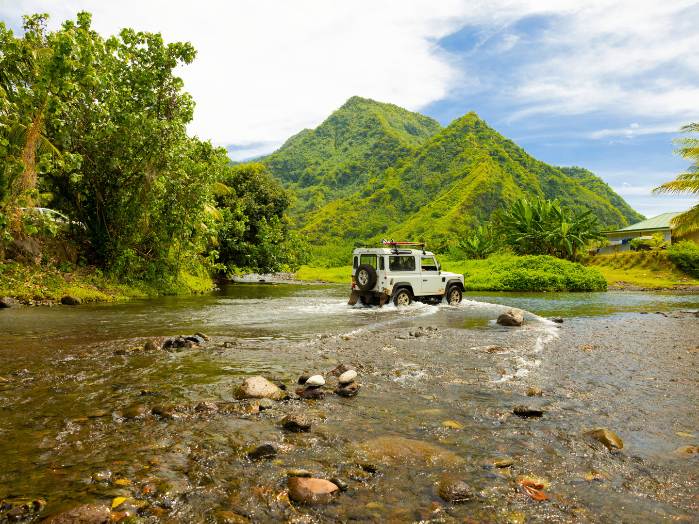 TAHITI – 4WD Safari into the Heart of Tahiti, Papenoo Valley – 8h