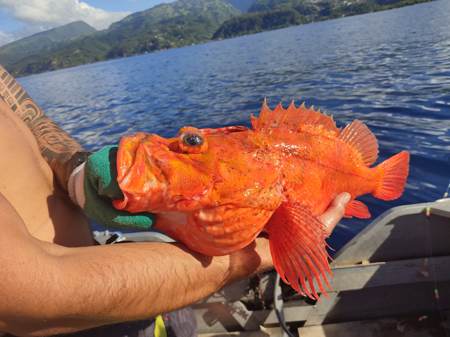HUAHINE – Angeln & Hochseefischen – 2 Stunden