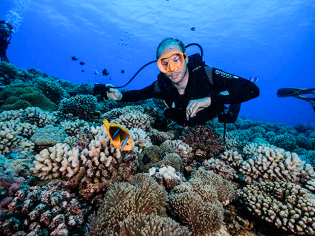 MOOREA – Immersioni subacquee