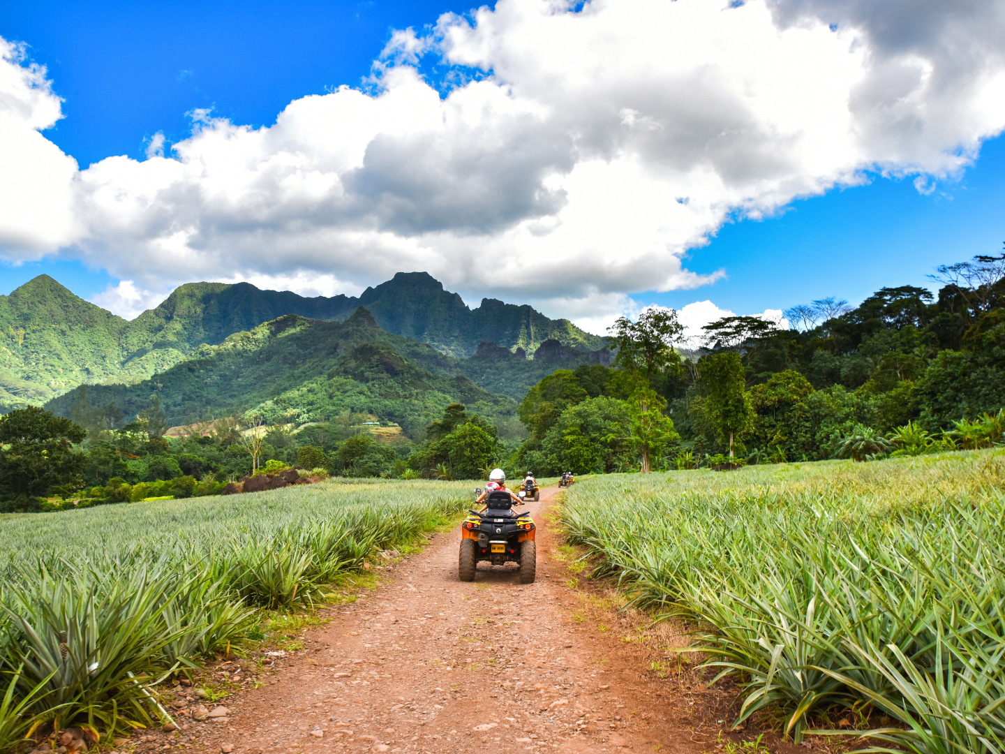MOOREA – Quad / ATV – 4 ore