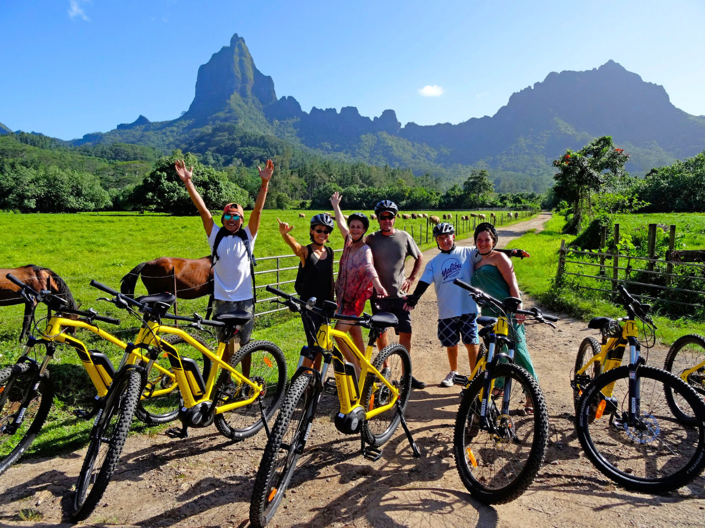 MOOREA – Tour in bicicletta elettrica fino al Belvedere – 3 ore