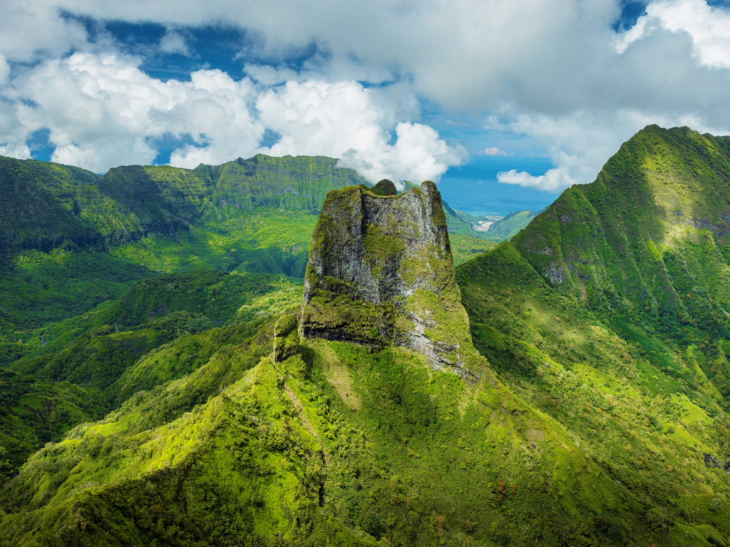 TAHITI – 4WD Safari into the Heart of Tahiti, Papenoo Valley – 8h