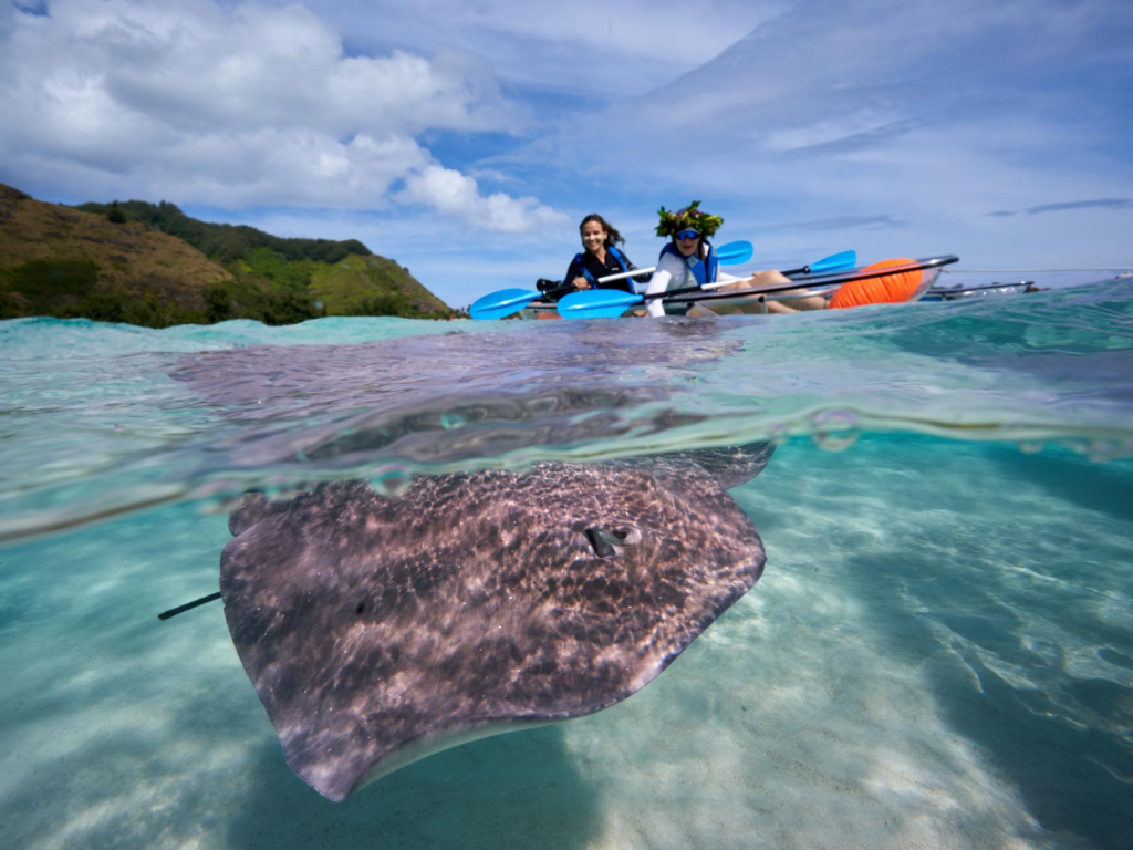 MOOREA – Clear Kayak Adventure – 3h30