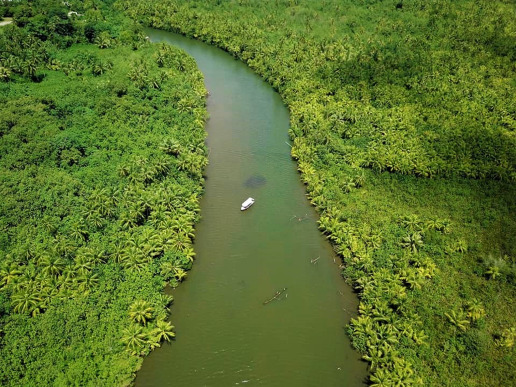 RAIATEA – Sông Faaroa & Marae Taputapuatea bằng thuyền – 4 giờ 30 phút