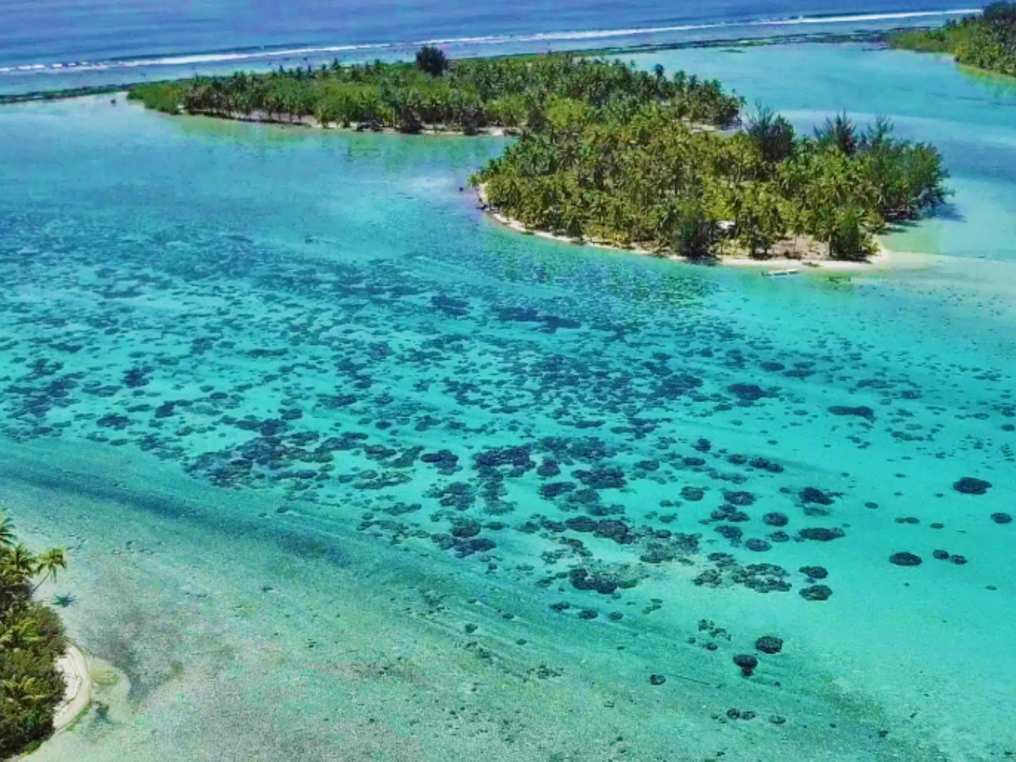 RAIATEA – Taha’a Lagoon Tour by Boat from Raiatea – 8H