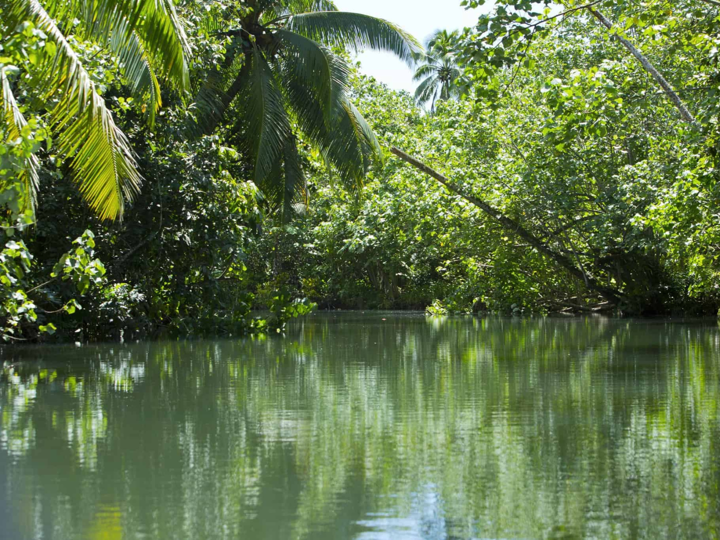 RAIATEA – Raiatea Lagoon and Marae tour by pirogue  – 8h