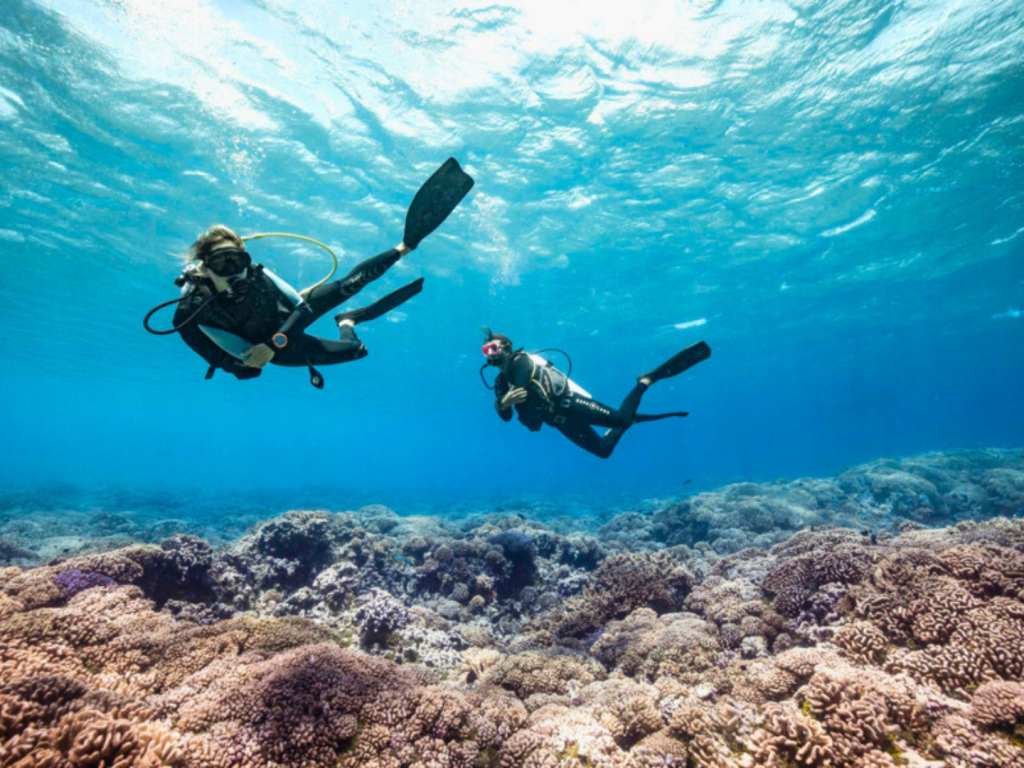 Polynesia Lagoon Lovers – Diving Trip for 2