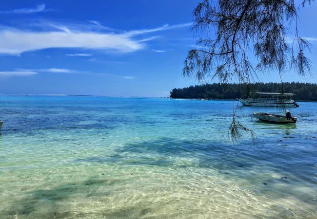 MOOREA – Local Spirit Iti 2