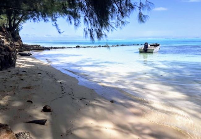 MOOREA – Local Spirit 5