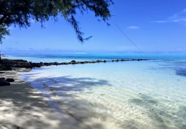 MOOREA – Local Spirit 6