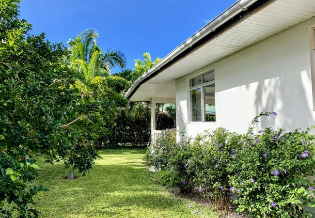 TAHITI – Fare Mitinui Surf Break