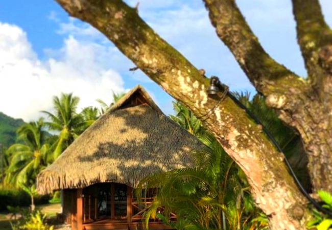 TAHAA – Bungalow Moana Beach 2