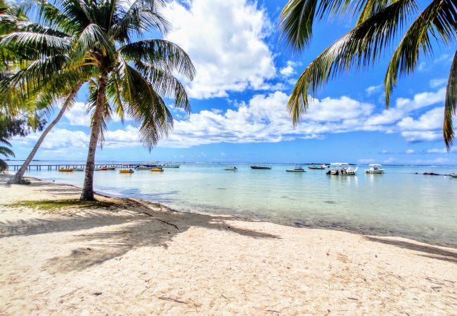 MOOREA – Tropical Soul