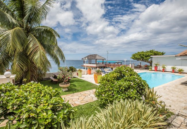 TAHITI – Studio Tiamao Nato