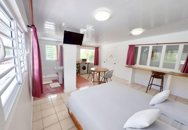 RAIATEA – Studio Tenape