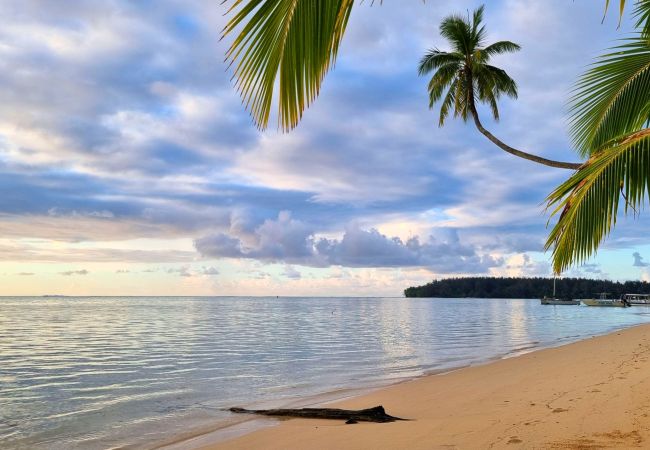 MOOREA – Studio Natura Cosy