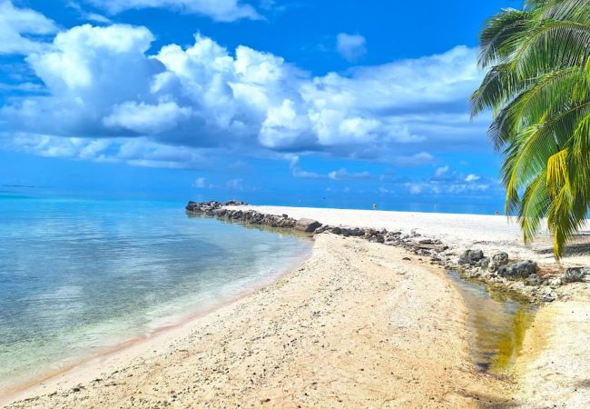 TIKEHAU – Bungalow Pacific Beach Family