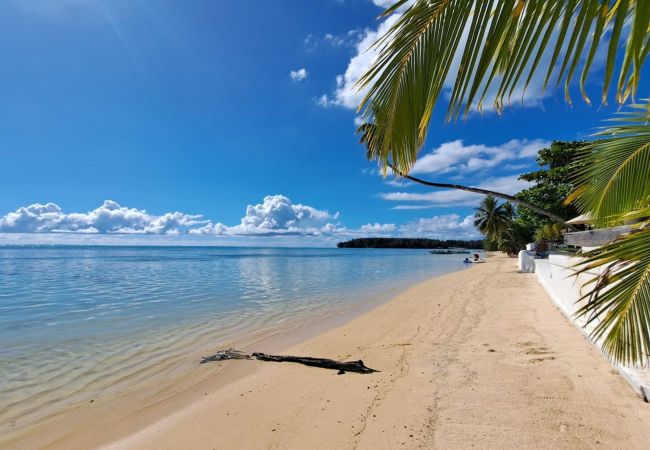 MOOREA – STUDIO CORAIL MOANA