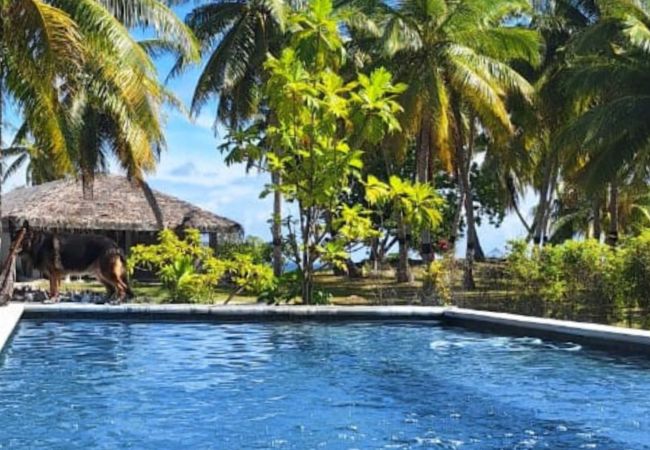 MANIHI – Manihi Pool Lodge