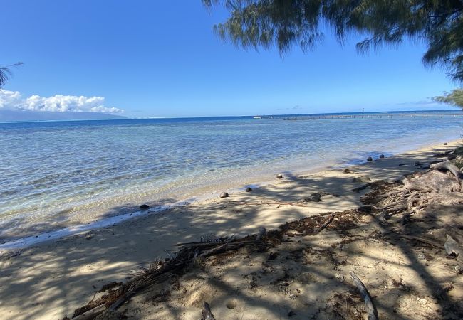MOOREA – Naku Kahi Bungalow 4 BeachView