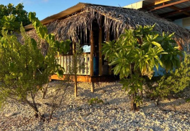 RANGIROA- MOTU BLISS-Fare Fisher