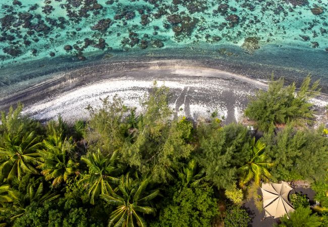 TAHITI -Studio ManoMano Taharu’u