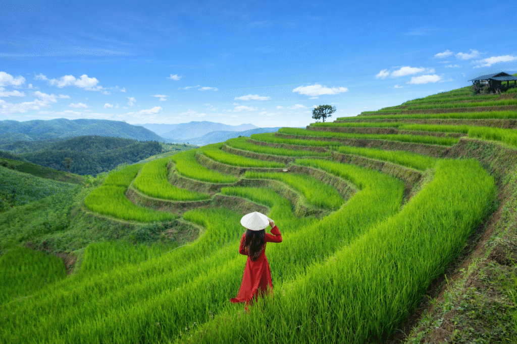7 must-see reasons to visit Vietnam :