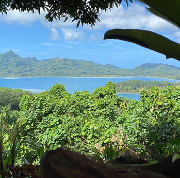 HUAHINE – Nature Walk & 4×4 Safari