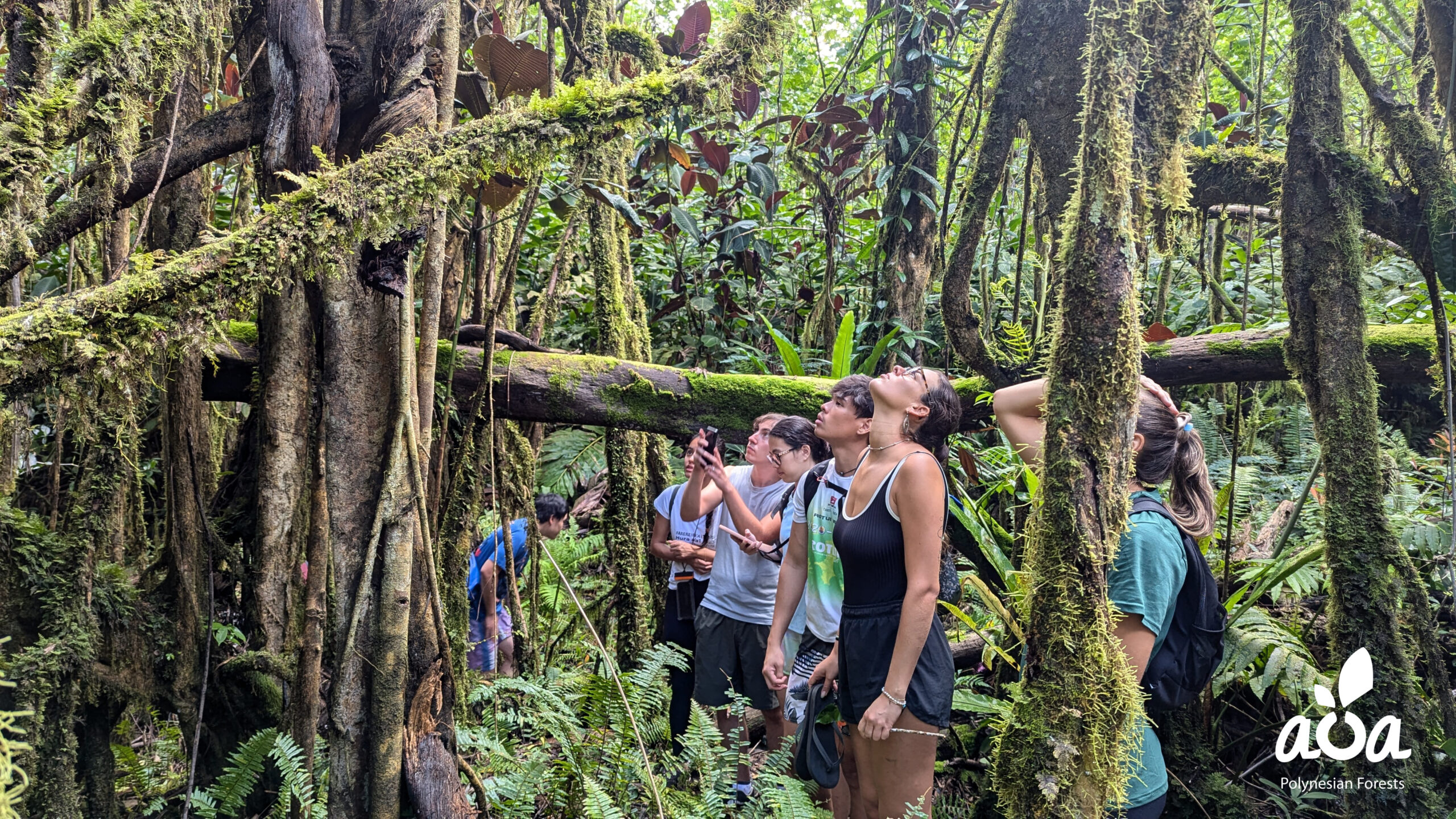 TAHITI – Hiking in the heart of a biodiversity sanctuary- 4H
