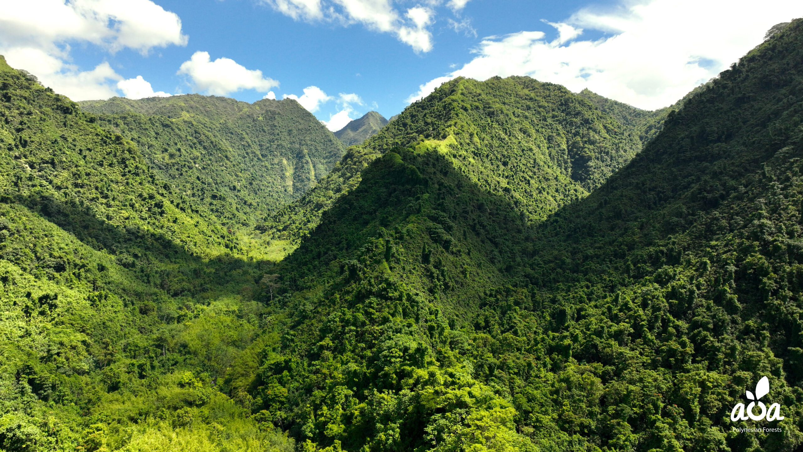 TAHITI – Hiking in the heart of a biodiversity sanctuary- 4H