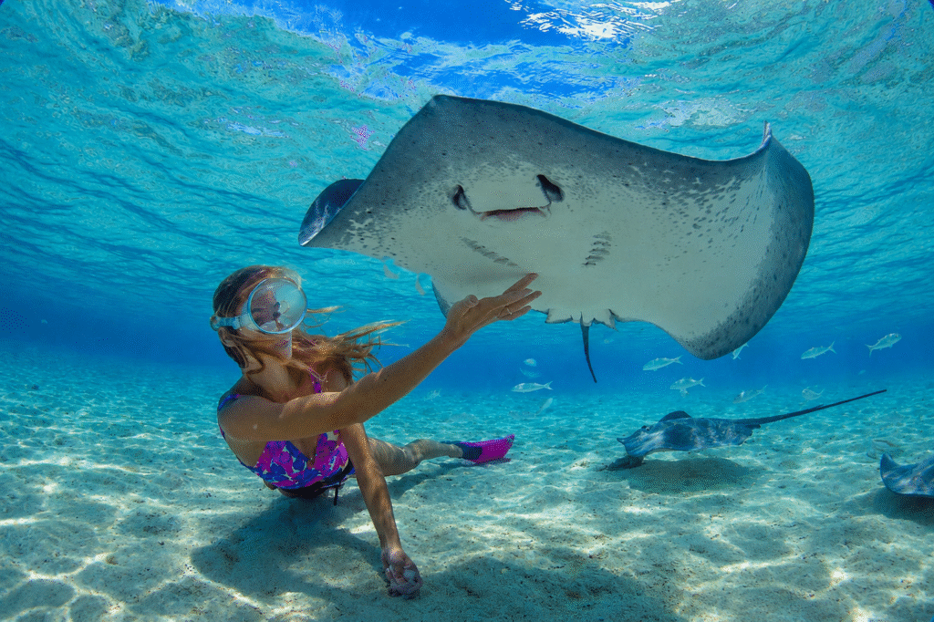 MOOREA – Glass-Bottom Boat Tour & Motu lunch – 5H