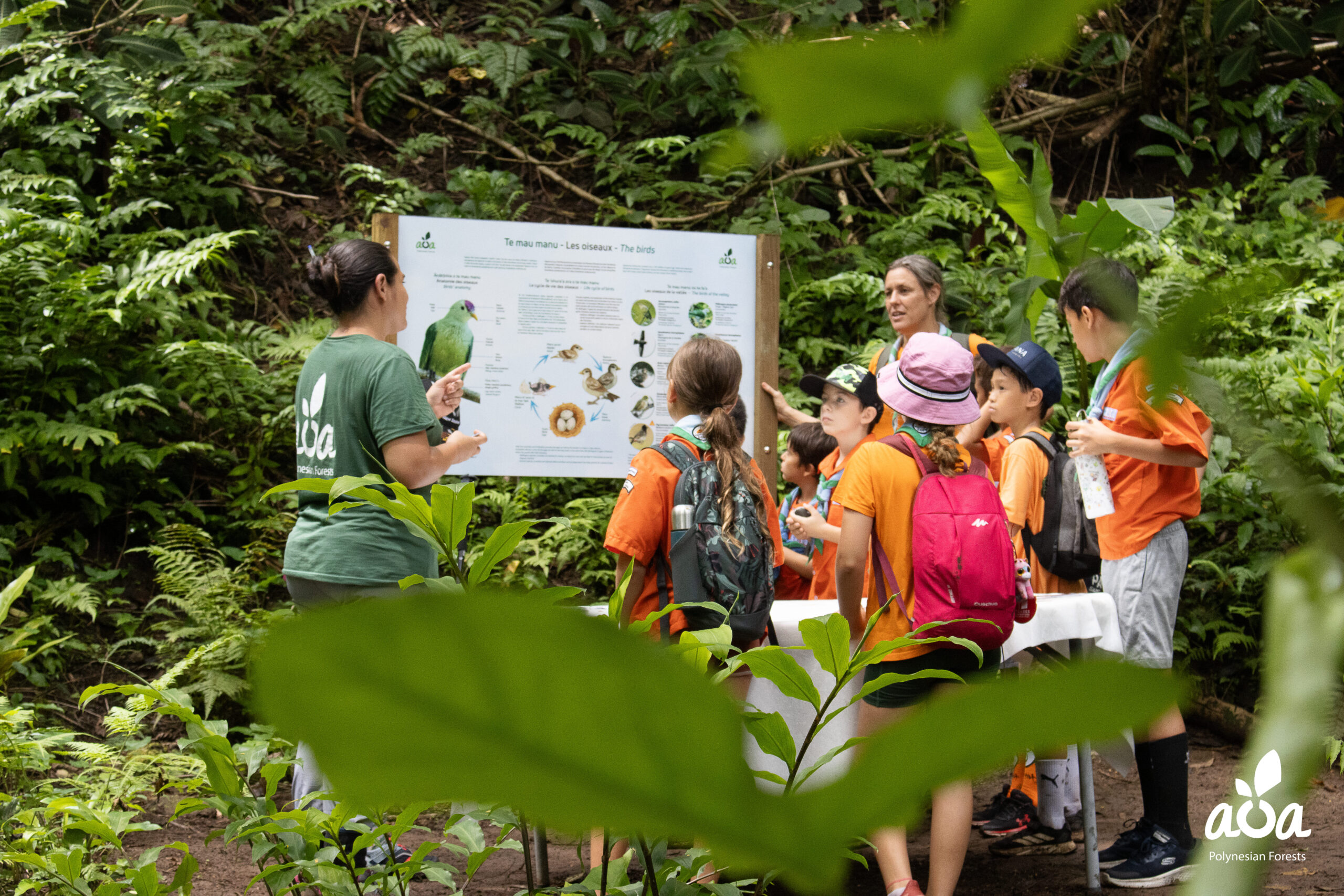 TAHITI – Hiking in the heart of a biodiversity sanctuary- 4H