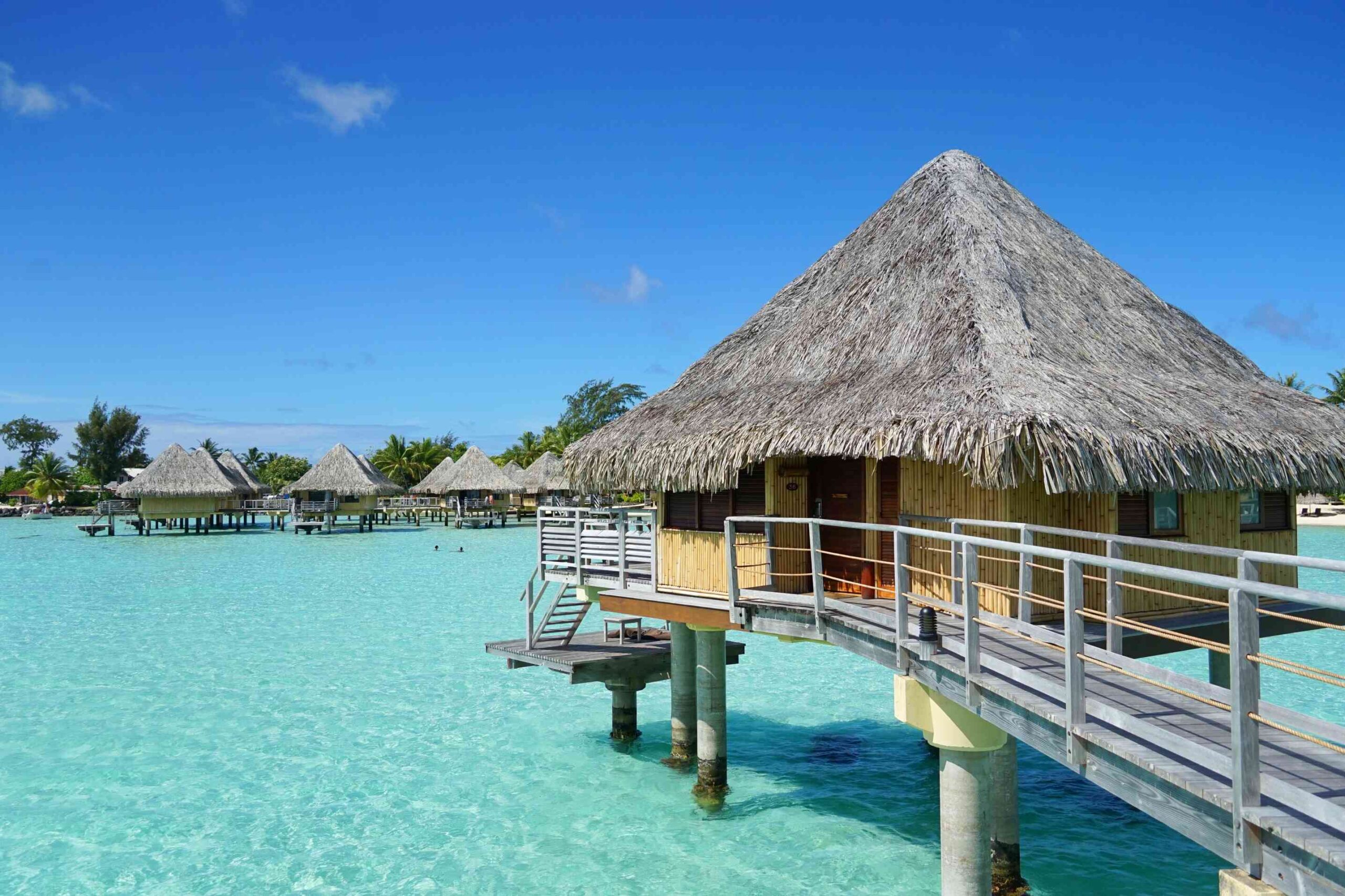 Polynesian lovers – 21 days
