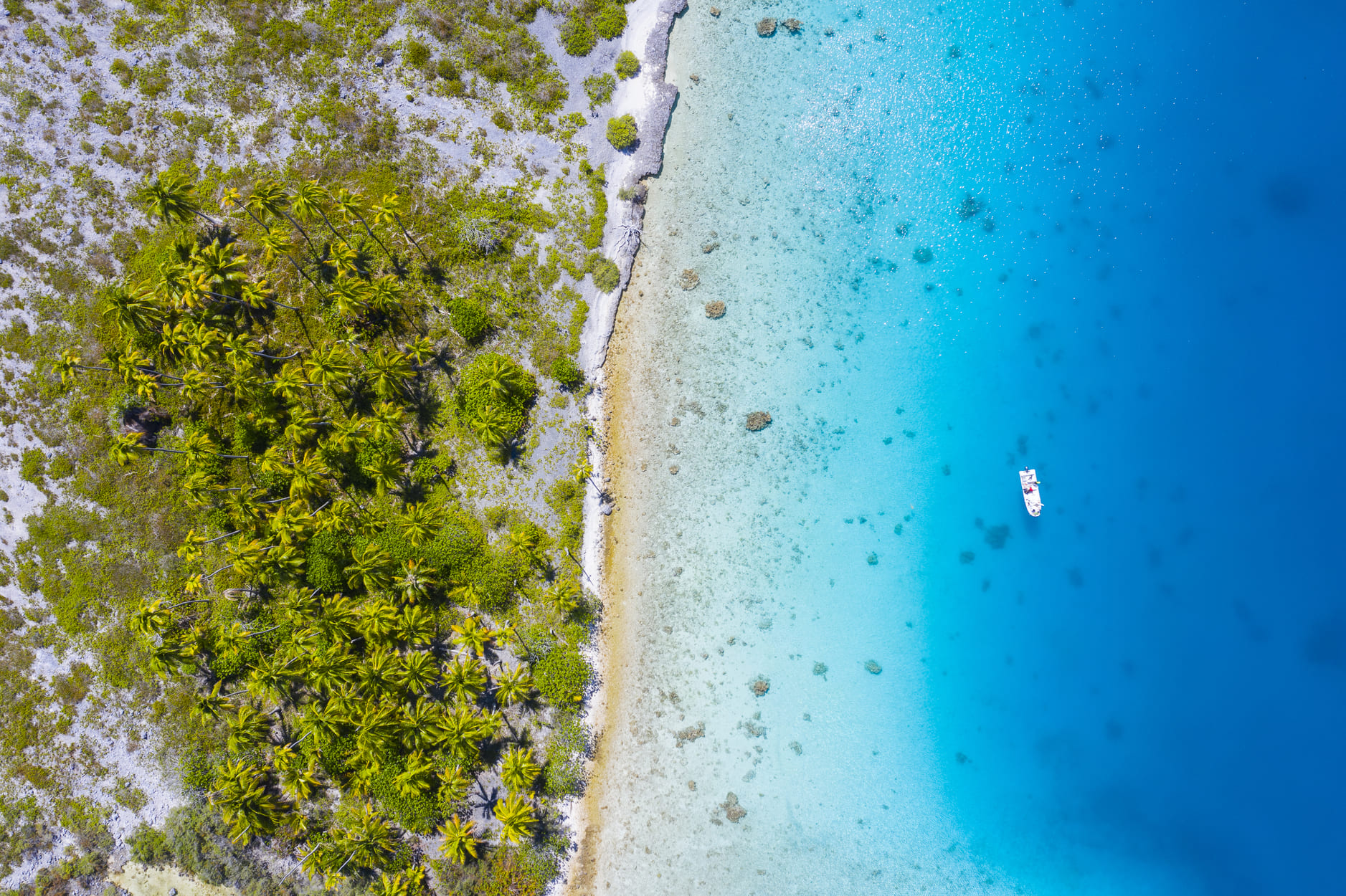 FAKARAVA – Teahatea Blue Lagoon & Garuae Pass – 8H30