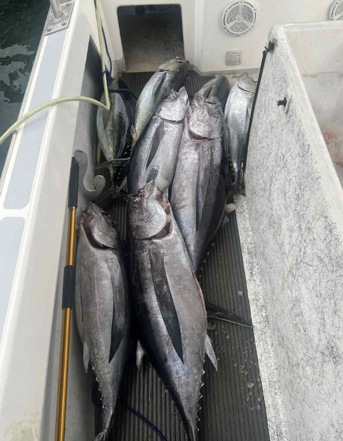 TAHITI – Big-game fishing