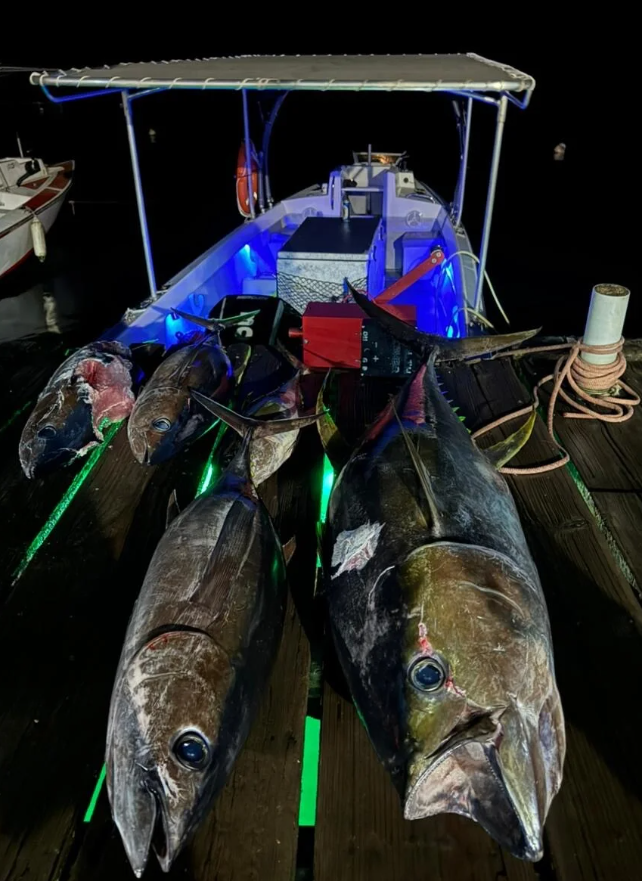 TAHITI – Big-game fishing