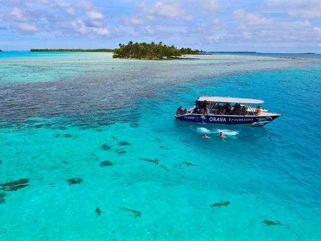 RANGIROA – Full day by boat to Blue Lagoon and Motu lunch – 8H