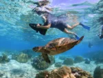 MOOREA - Tour di mezza giornata con scooter subacqueo e snorkeling