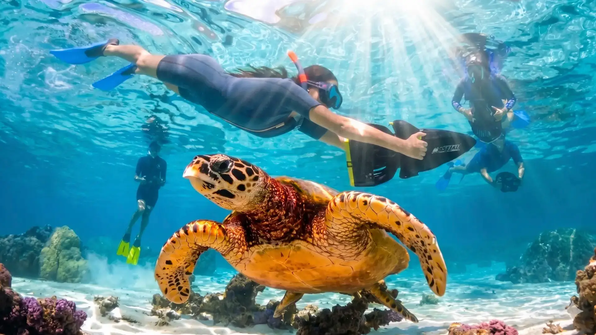 MOOREA – Halbtägige Unterwasser-Scooter- und Schnorcheltour